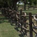 Texas-style fence by judyc57