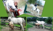 20th Jun 2012 - Shayly bear riding