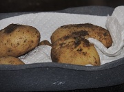 20th Jun 2012 - First early potatoes