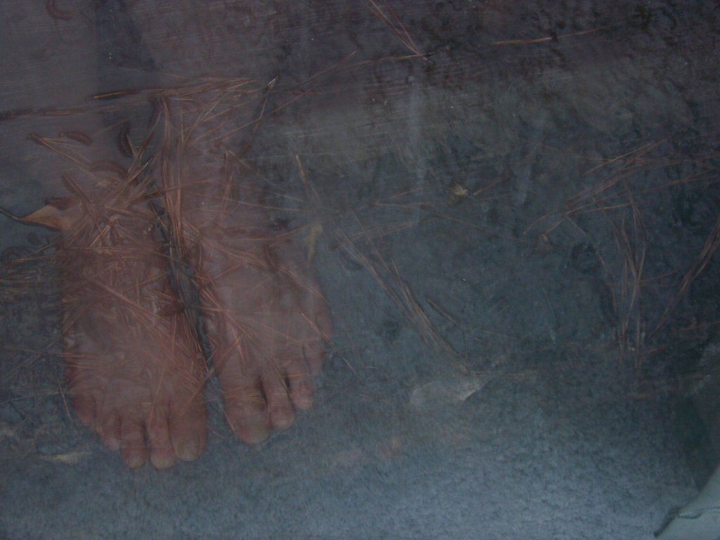 Barefoot reflections... by marlboromaam
