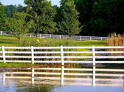 21st Jun 2012 - Fences