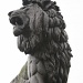 lion by mariadarby