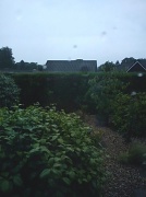 21st Jun 2012 - Rain on the window