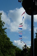 20th Jun 2012 - Blowing in the wind