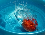 19th Jun 2012 - (Day 127) - A Thoroughly Clean Apple