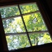 Crooked Window by julie