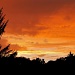 Summer Sunset by houser934