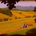 Mowing Hay by calm