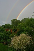 17th Jun 2012 - Rainbow colours, but mostly green.