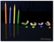 22nd Jun 2012 - 22.6.12 Pencils