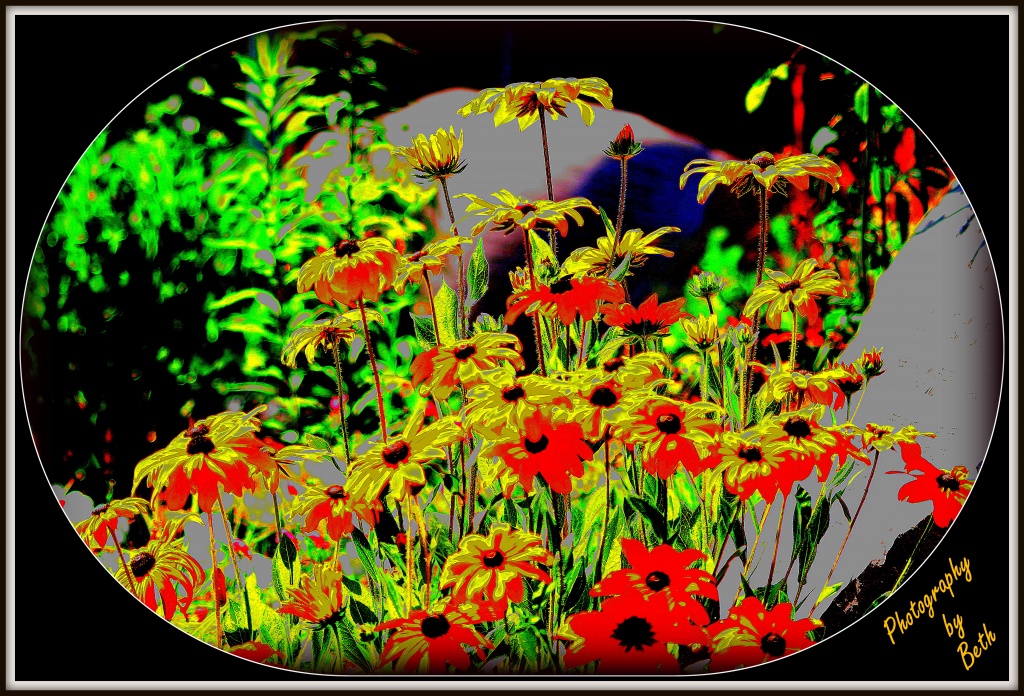 Flower Garden by vernabeth