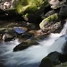 Susan Creek by jgpittenger