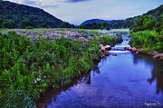 22nd Jun 2012 - Along the Creek