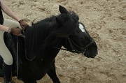 23rd Jun 2012 - Horse riding