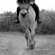 23rd Jun 2012 - Horse riding #2