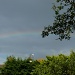 Rainbow over my garden by lellie