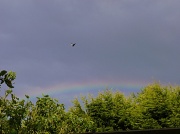 24th Jun 2012 - "Birds fly over the rainbow................"