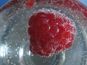 24th Jun 2012 - raspberries in champagne 