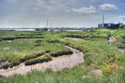 23rd Jun 2012 - Old oyster beds
