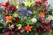 23rd Jun 2012 - Newport Flower Show Bouquet