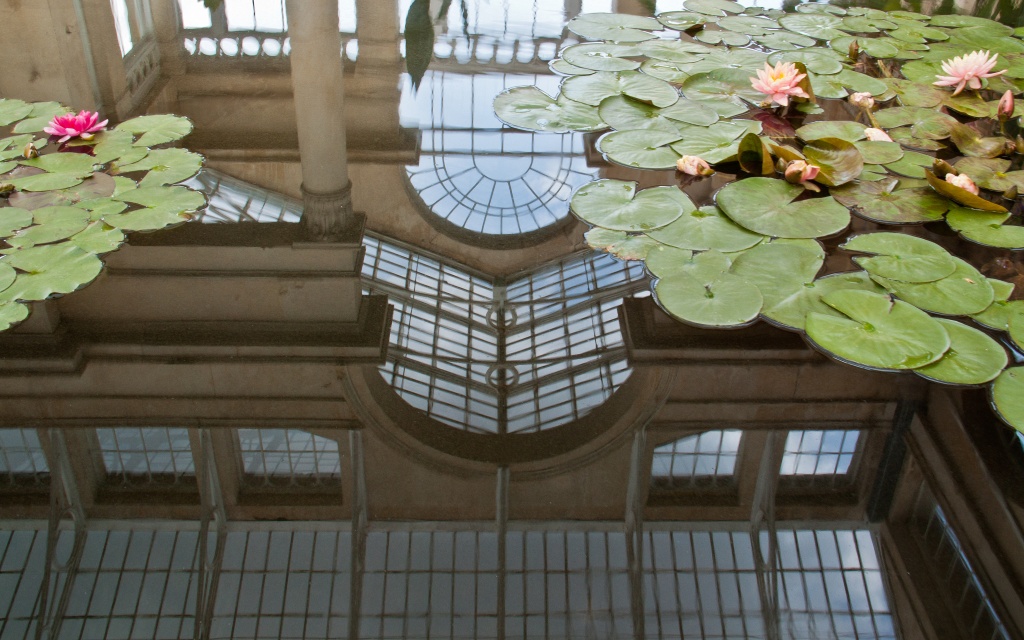 The Great Conservatory in a lily pool by dulciknit
