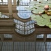 The Great Conservatory in a lily pool