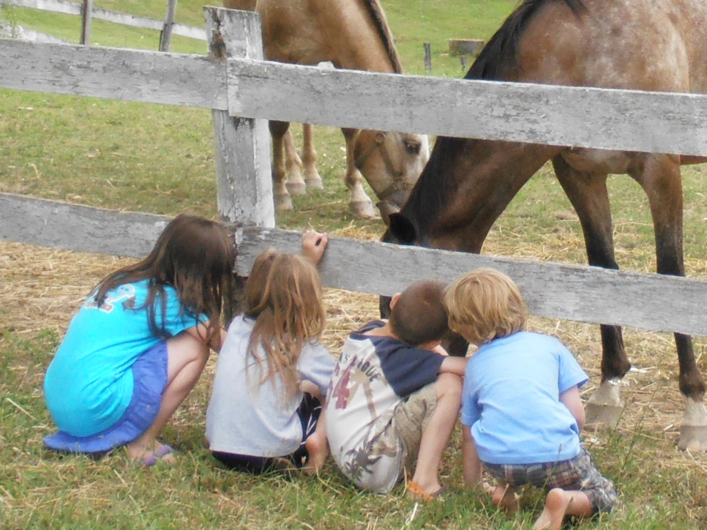 Little Ones and Horses by julie