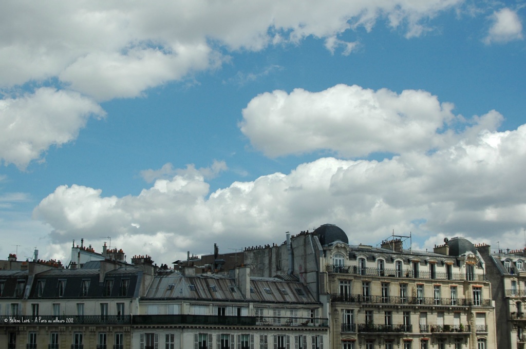Paris roofs by parisouailleurs