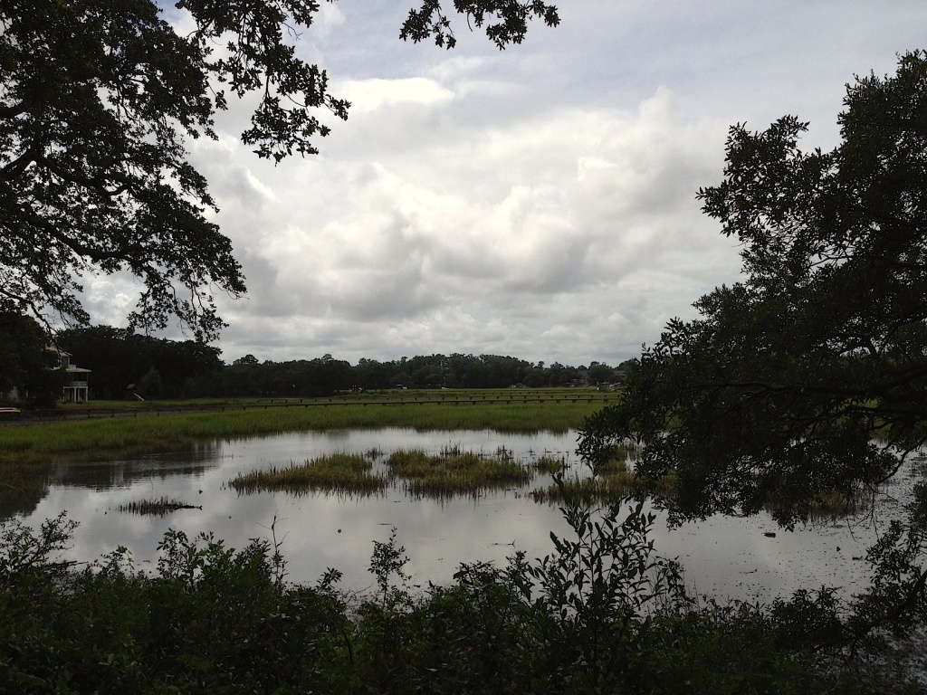 Marsh on a cloudy day, Dock Street Park, James Island, SC by congaree