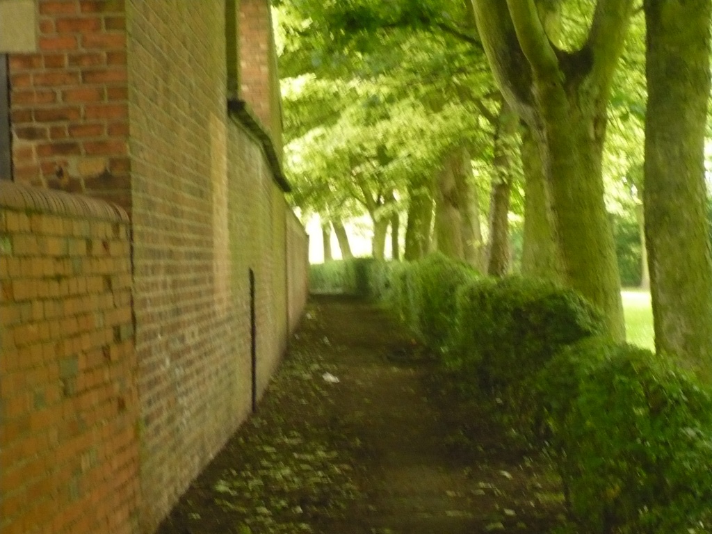 Pathway near Dykes Field Bolsover by clairecrossley