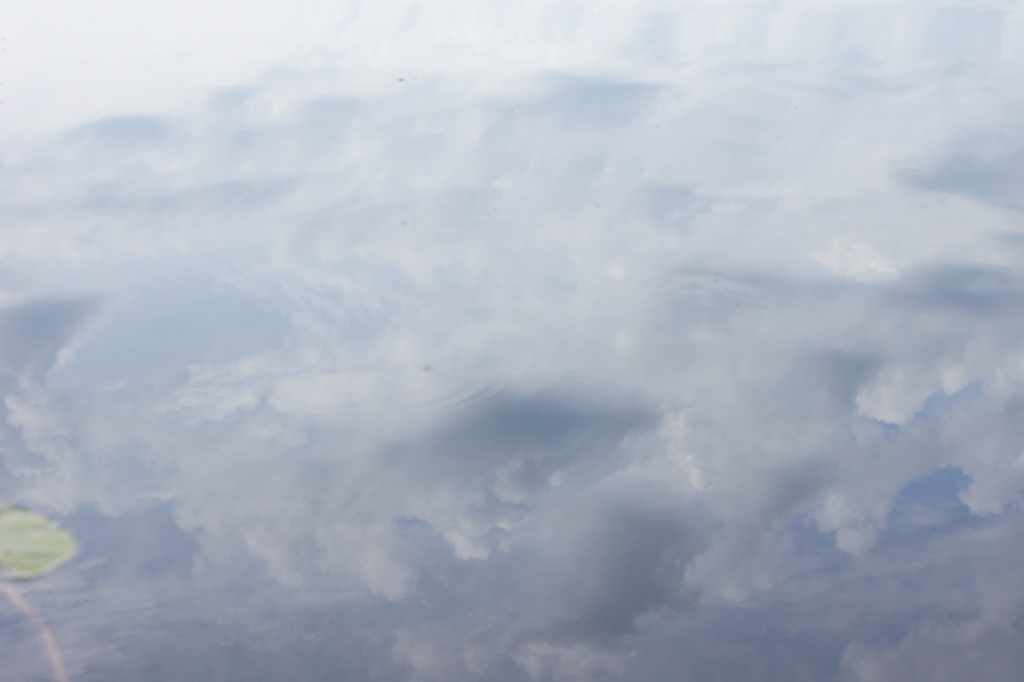 Clouds reflected in water. by rob257