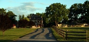 26th Jun 2012 - Shadow Lane