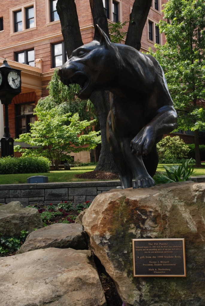 Pittsburgh Panther by graceratliff