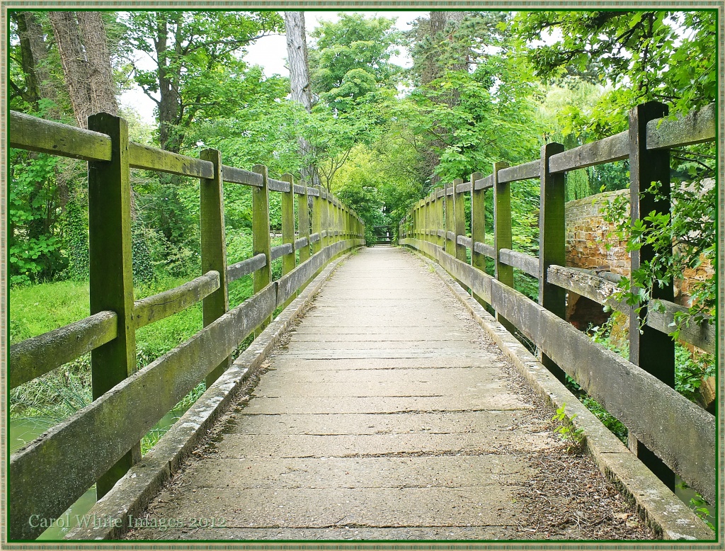 Rustic Footbridge by carolmw