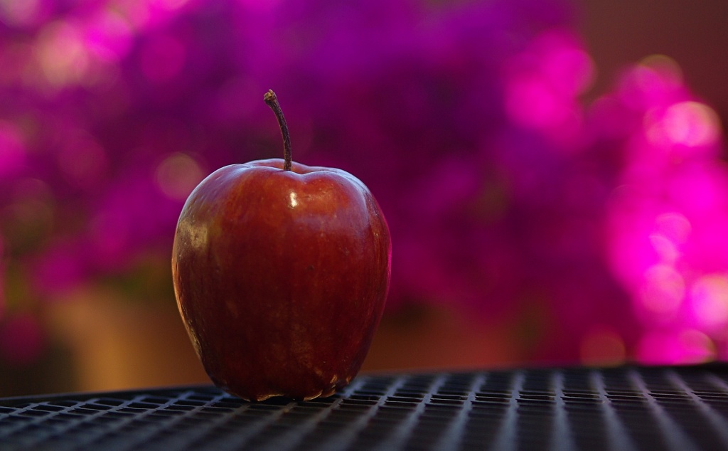 (Day 130) - Red Delicious by cjphoto