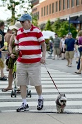 21st Jun 2012 - Puppy and lines