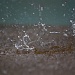 Rain splatter by sugarmuser