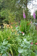 26th Jun 2012 - A small corner of my garden