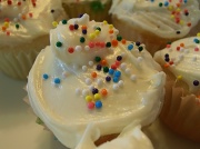 27th Jun 2012 - Cupcakes!