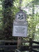25th Jun 2012 - Plymbridge woods  