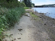 23rd Jun 2012 - Beach Path