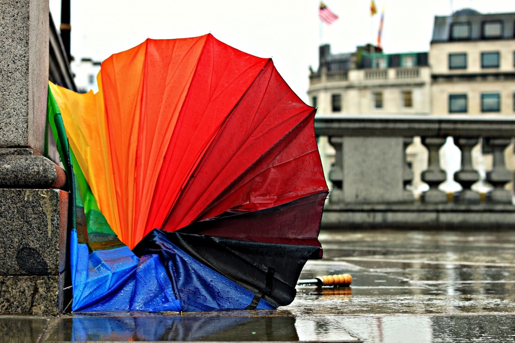 Brokkenbrolly by rich57