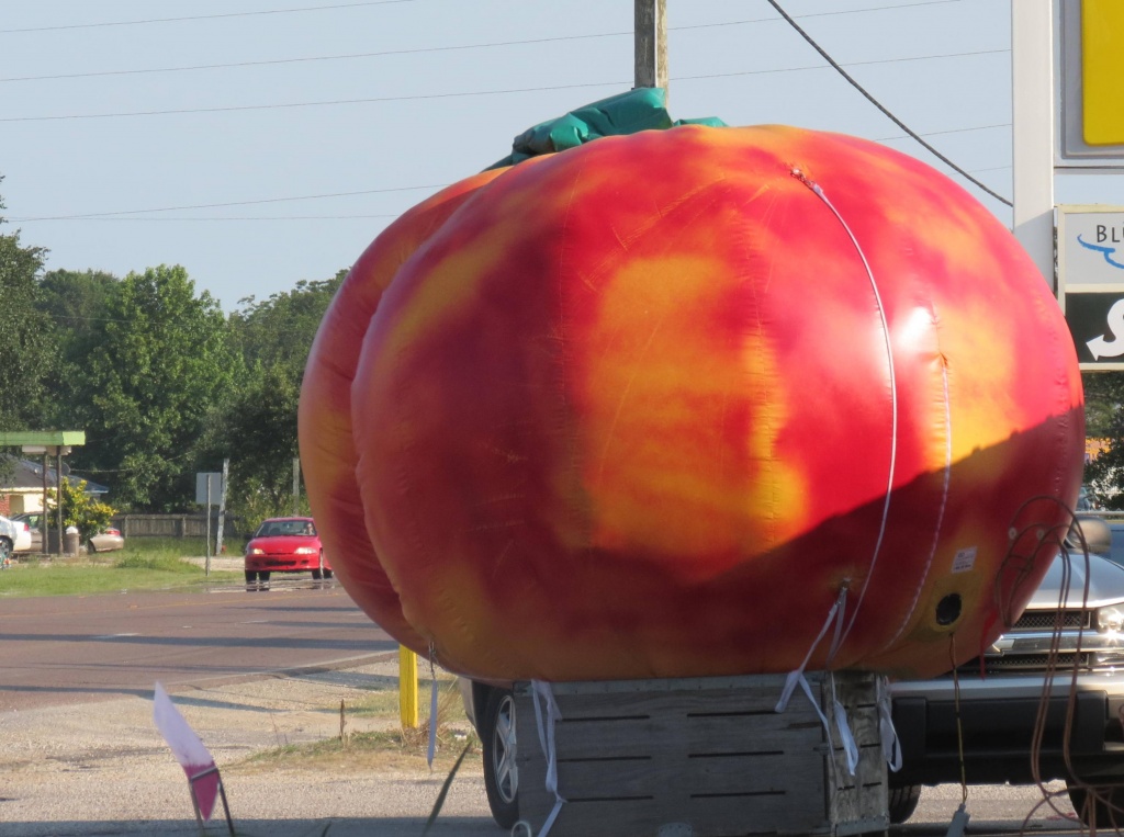 That's a BIG Peach by grammyn
