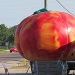 That's a BIG Peach by grammyn