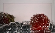 27th Jun 2012 - bubbly fruits