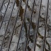 Making the most of a wet deck by sugarmuser