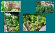 28th Jun 2012 - Rearranging the garden