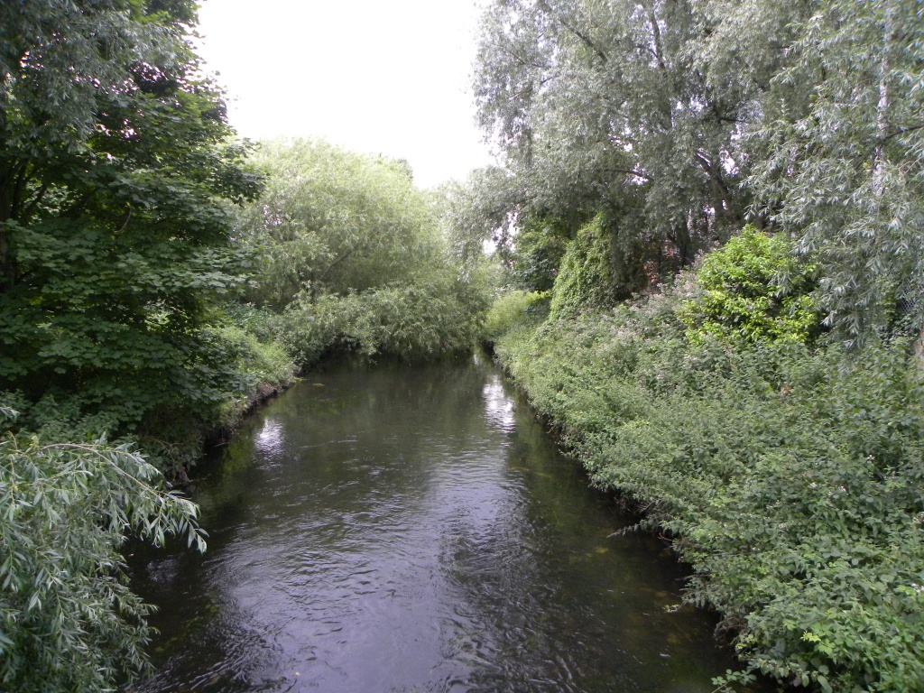 River Wandle  by oldjosh
