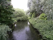 25th Jun 2012 - River Wandle 