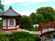 29th Jun 2012 - Japanese Gardens